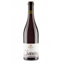 Bussay Charmed Pinot Noir 2017 - červené suché víno 0,75L 12%