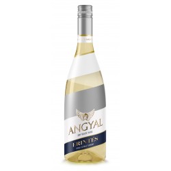 Angyal Érintés Tokaji Furmint 2019 - bílé suché víno  0,75L 12%